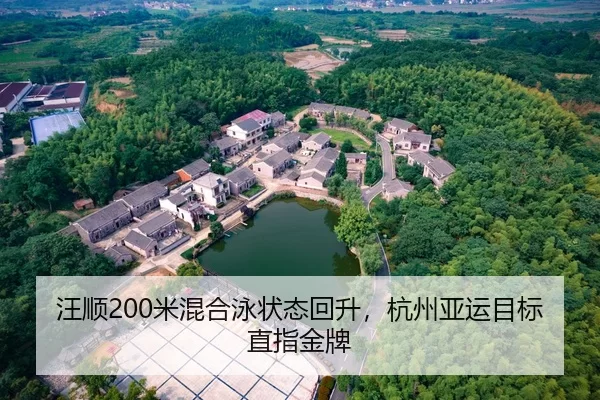 wang-shun-mi-hun-he-yong-zhuang-tai-hui-sheng-hang-zhou-ya-yun-mu-biao-zhi-zhi-jin-pai-1-859.jpg